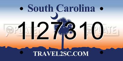 1I27310 South Carolina License Plate