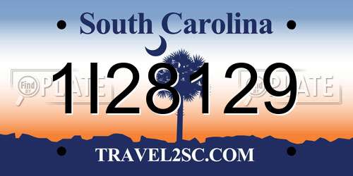 1I28129 South Carolina License Plate