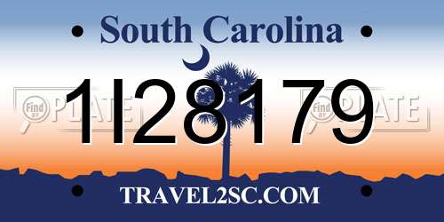 1I28179 South Carolina License Plate