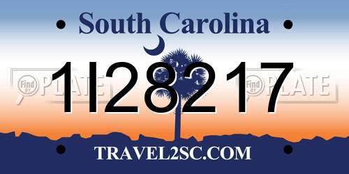 1I28217 South Carolina License Plate