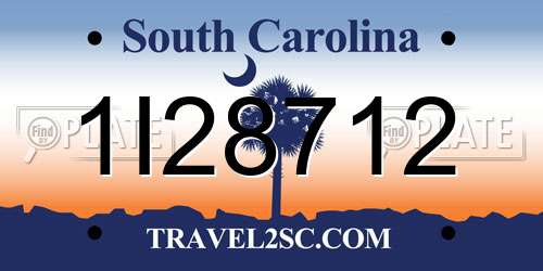 1I28712 South Carolina License Plate