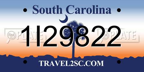 1I29822 South Carolina License Plate