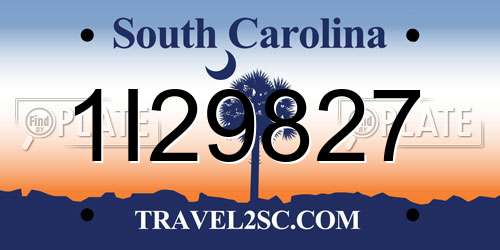 1I29827 South Carolina License Plate