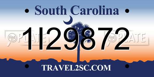 1I29872 South Carolina License Plate