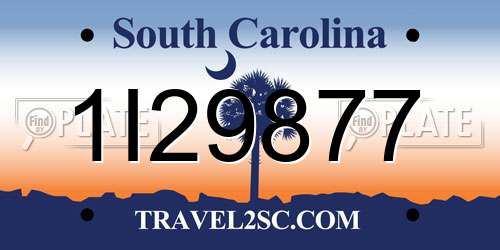 1I29877 South Carolina License Plate