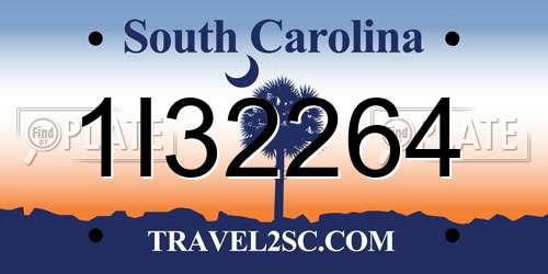 1I32264 South Carolina License Plate