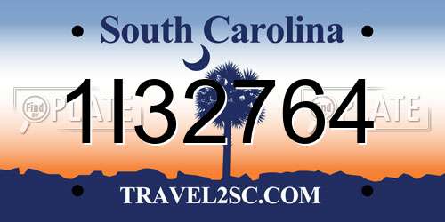 1I32764 South Carolina License Plate
