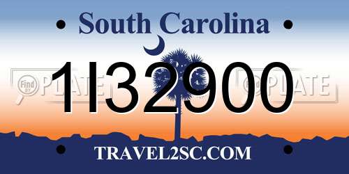 1I32900 South Carolina License Plate