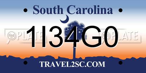 1I34G0 South Carolina License Plate