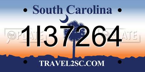 1I37264 South Carolina License Plate