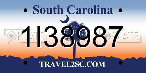 1I38987 South Carolina License Plate