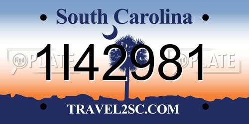 1I42981 South Carolina License Plate