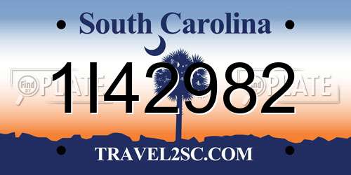 1I42982 South Carolina License Plate
