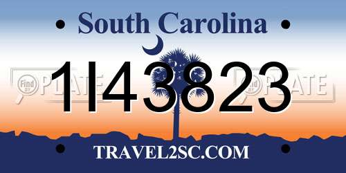1I43823 South Carolina License Plate