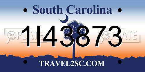 1I43873 South Carolina License Plate
