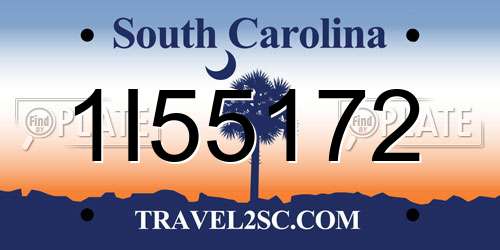 1I55172 South Carolina License Plate