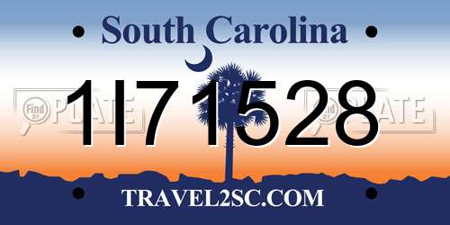 1I71528 South Carolina License Plate