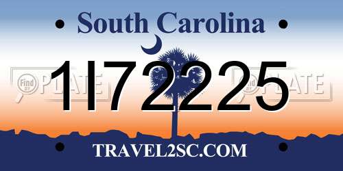 1I72225 South Carolina License Plate