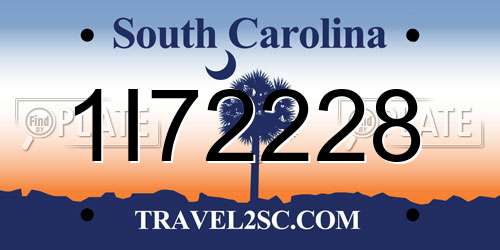 1I72228 South Carolina License Plate