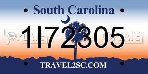 1I72305 South Carolina License Plate