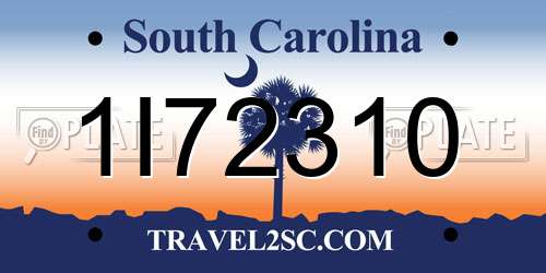 1I72310 South Carolina License Plate