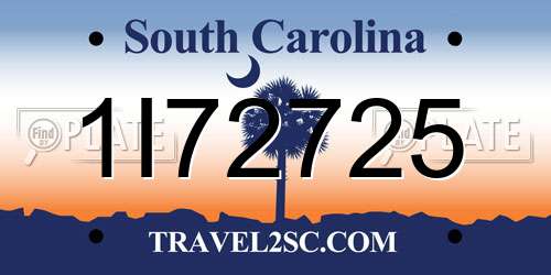 1I72725 South Carolina License Plate