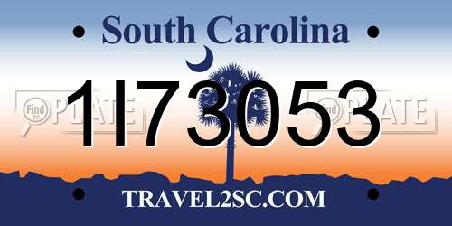 1I73053 South Carolina License Plate
