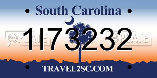1I73232 South Carolina License Plate