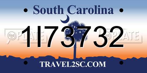 1I73732 South Carolina License Plate