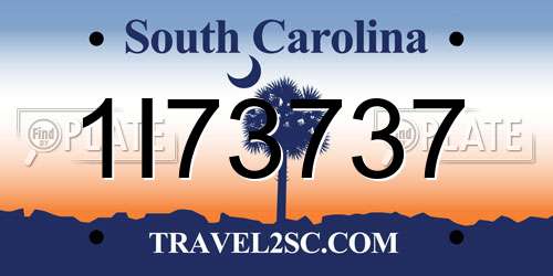 1I73737 South Carolina License Plate