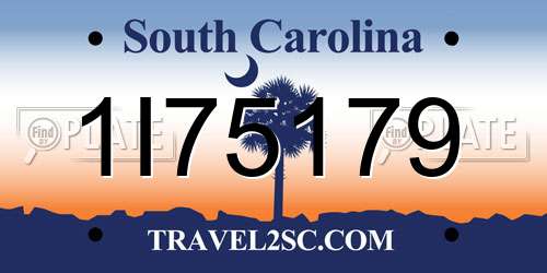 1I75179 South Carolina License Plate