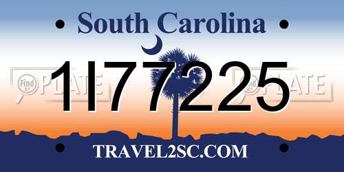 1I77225 South Carolina License Plate