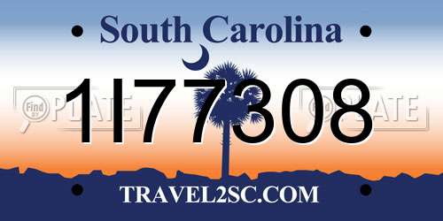 1I77308 South Carolina License Plate