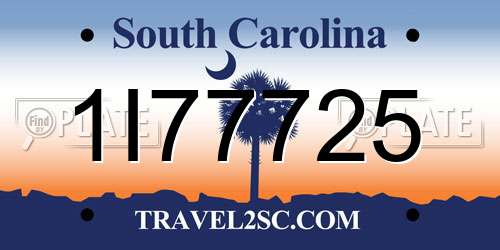 1I77725 South Carolina License Plate