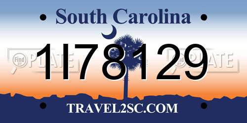 1I78129 South Carolina License Plate