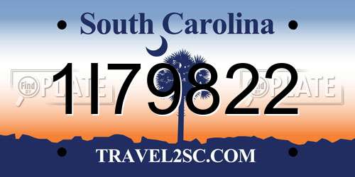 1I79822 South Carolina License Plate