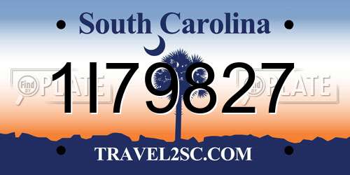 1I79827 South Carolina License Plate