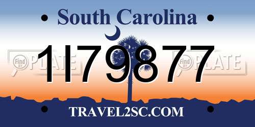 1I79877 South Carolina License Plate