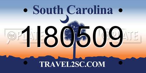 1I80509 South Carolina License Plate