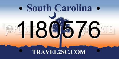 1I80576 South Carolina License Plate
