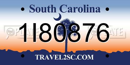 1I80876 South Carolina License Plate