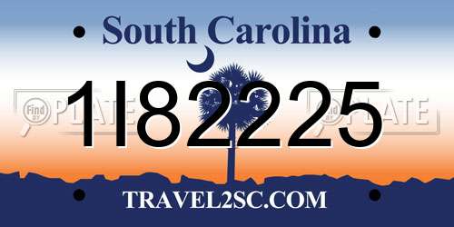 1I82225 South Carolina License Plate