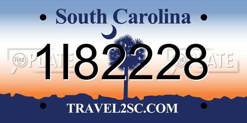 1I82228 South Carolina License Plate