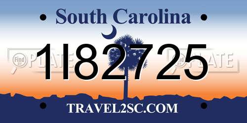 1I82725 South Carolina License Plate