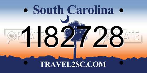 1I82728 South Carolina License Plate