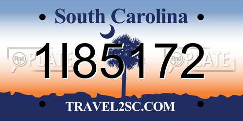 1I85172 South Carolina License Plate