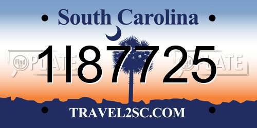 1I87725 South Carolina License Plate