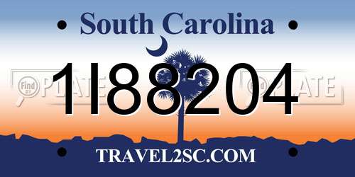 1I88204 South Carolina License Plate