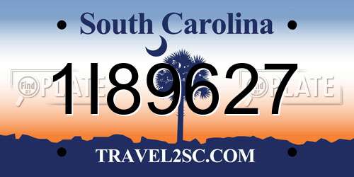 1I89627 South Carolina License Plate