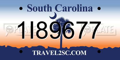 1I89677 South Carolina License Plate